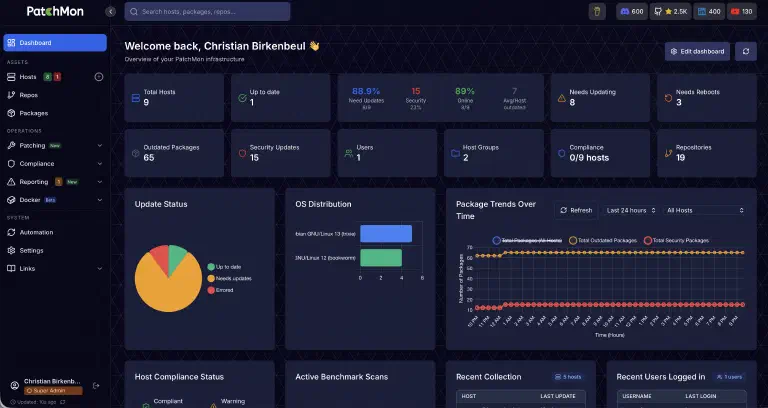 Dashboard von Patchmon